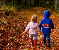 Autumn Stroll