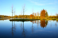 Landscapes