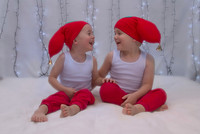 Brothers in Crime