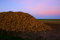 Hageland region