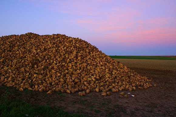Hageland region